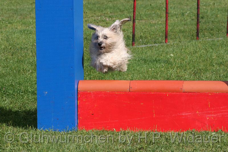 gluehwuermchen08 094 (58).jpg